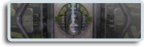 Forum Icon